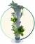 Stack & Sprout