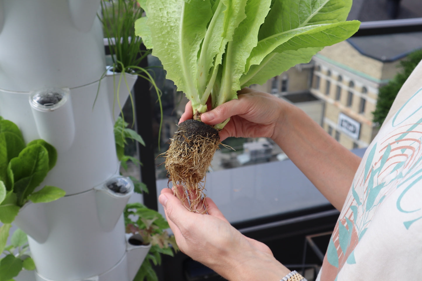 Additional Stack & Sprout Smart Soil Capsules