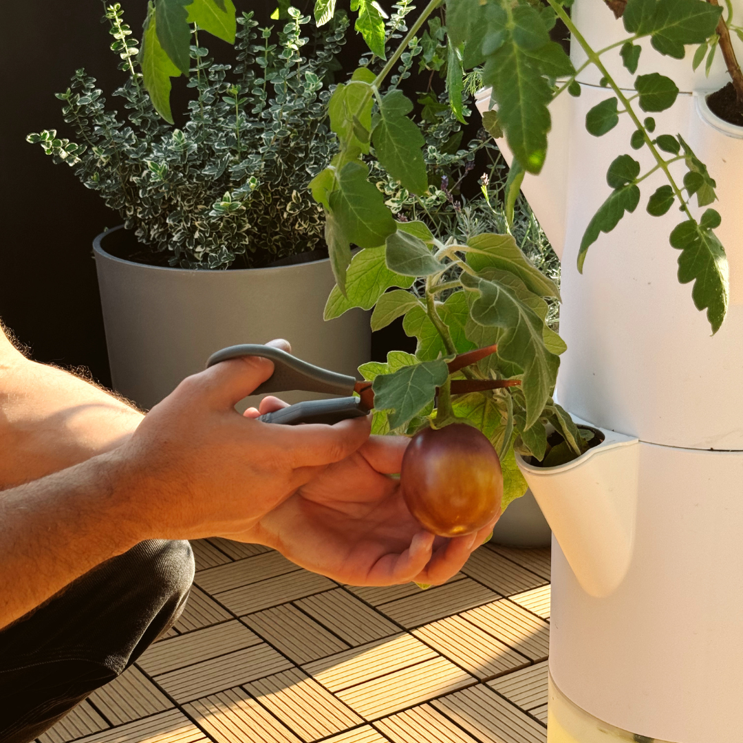 RECIPES Stack Sprout recipes-stack-sprout