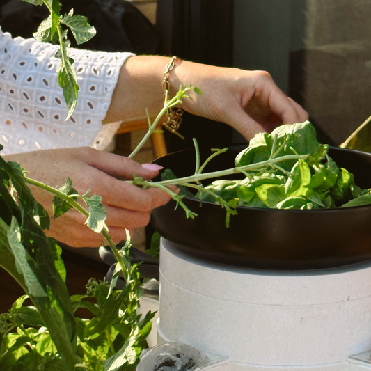 Give the Gift of Green: Why a Stack & Sprout Hydroponic Garden is the Perfect Holiday Gift