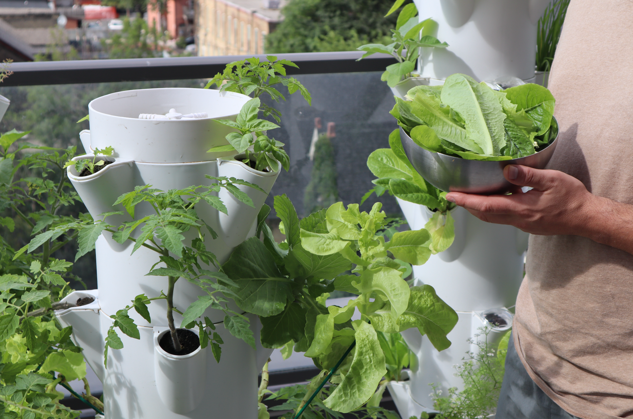 The Environmental Benefits of Vertical Gardening with Stack & Sprout