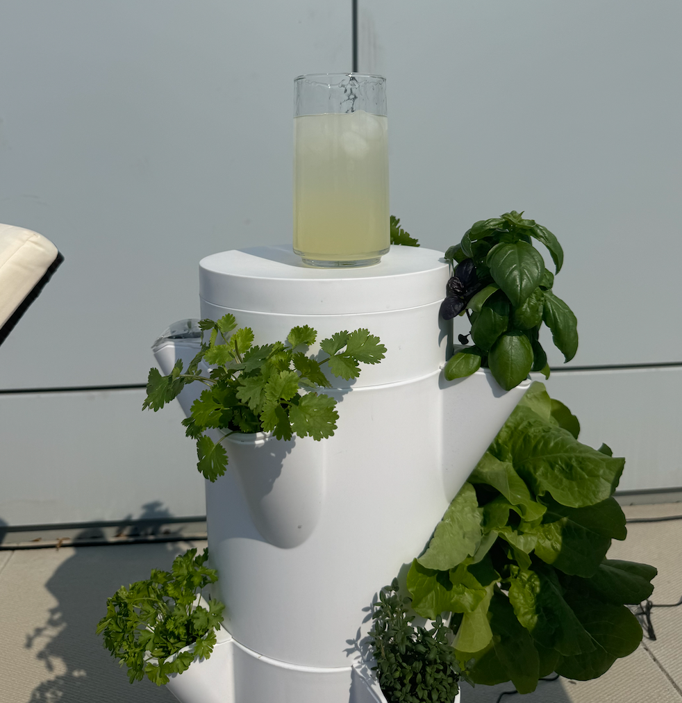 Lemonade Stack Mint-Infused Lemonade – Stack & Sprout