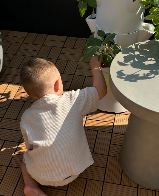Kids and Hydroponic Systems: Learning and Growing with Stack & Sprout