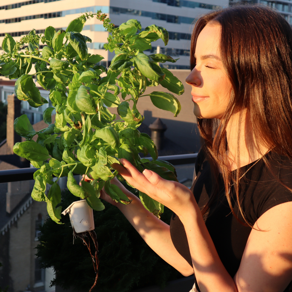 Stack & Sprout Vertical Garden