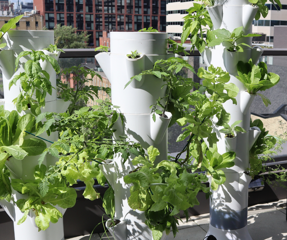 Stack & Sprout Commercial Vertical Garden