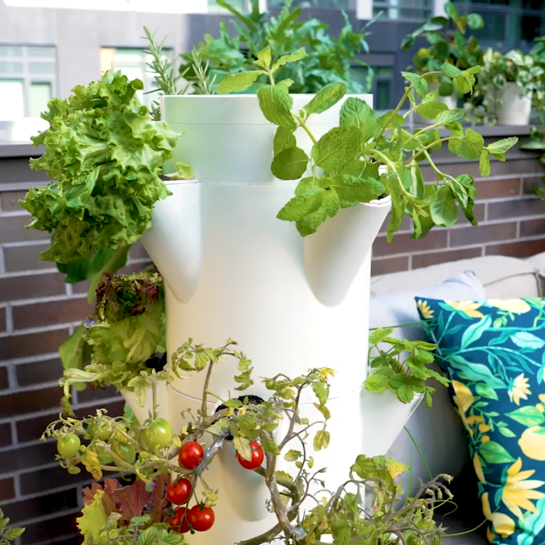 Additional Stackable Module – Stack & Sprout