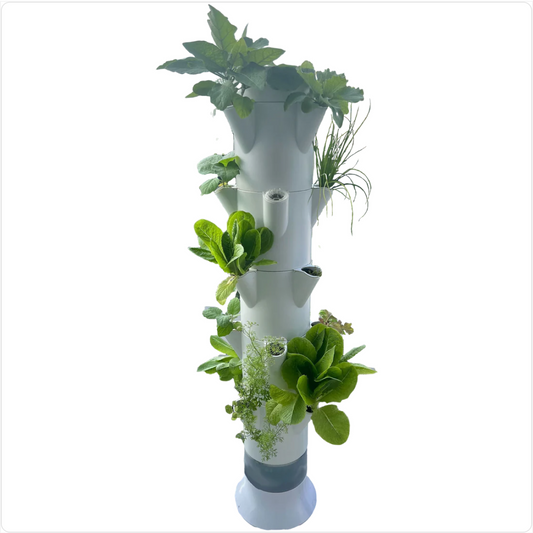 Stack & Sprout Starter Kit