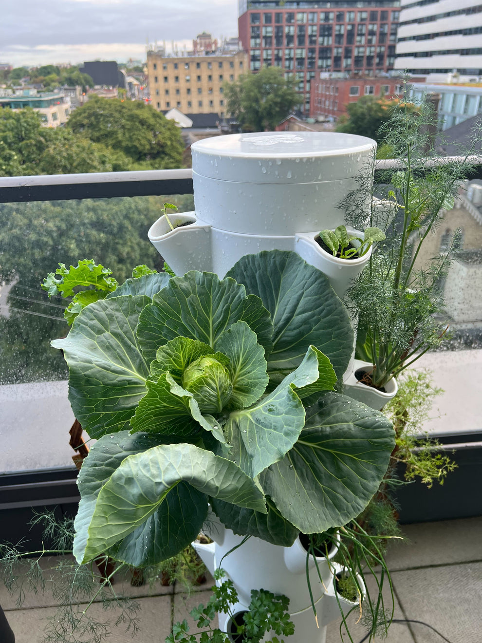 Stack & Sprout Vertical Garden