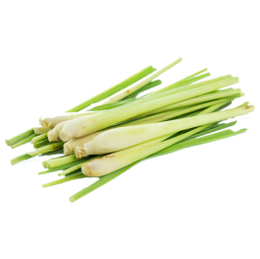 Stack & Sprout