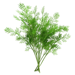 Stack & Sprout