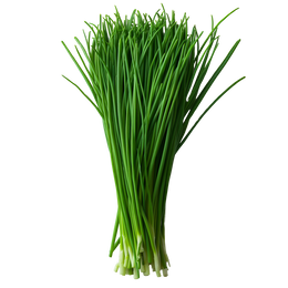 Stack & Sprout