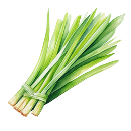 Stack & Sprout